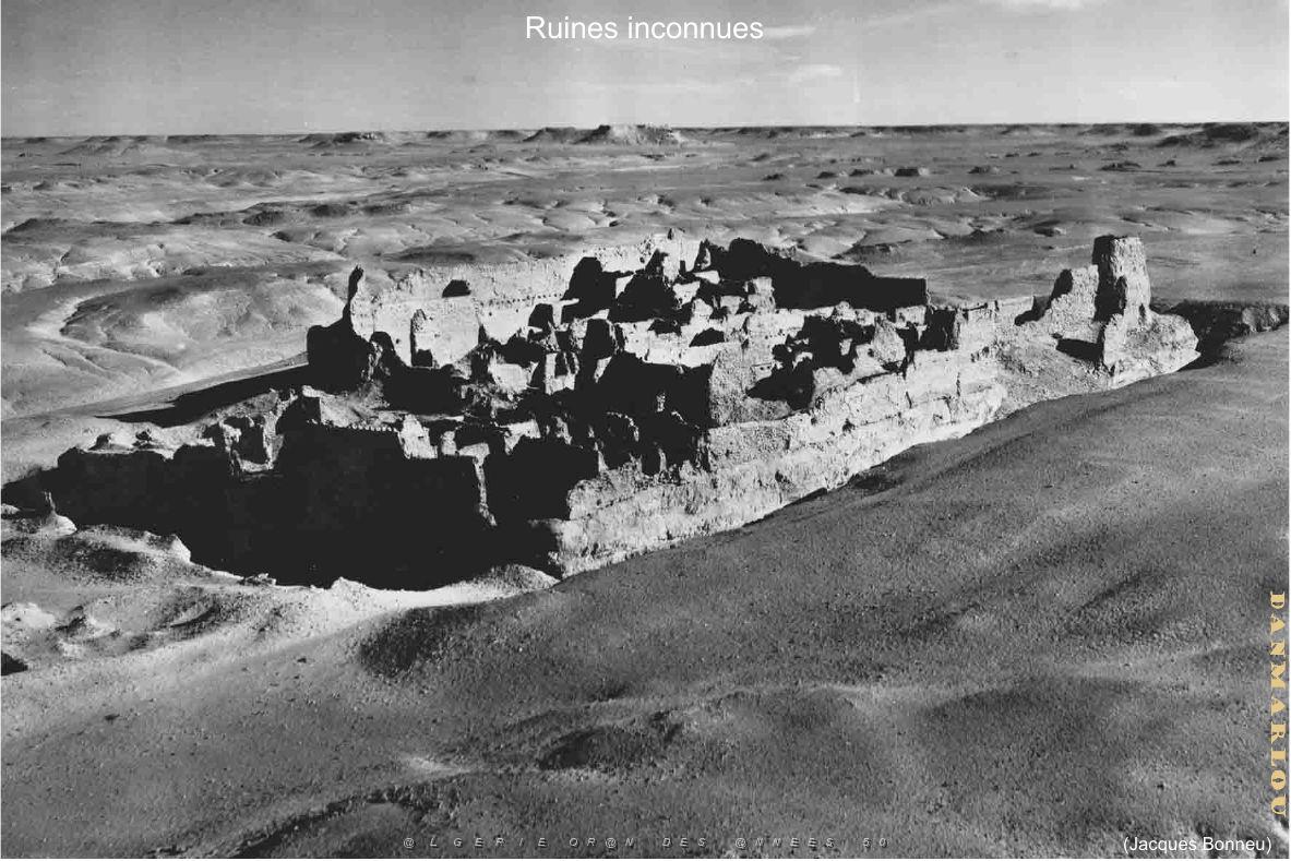 173- ARMEE DE L'AIR EN ALGERIE 1945-1962-21 (43).jpg